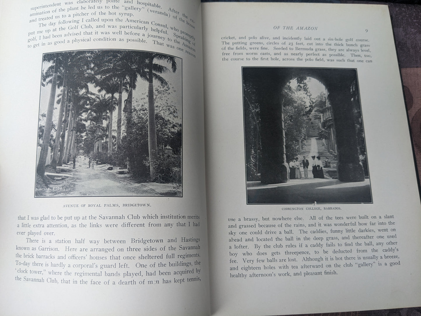 The Rubber Country of the Amazon by Henry Pearson, 1911 First Edition