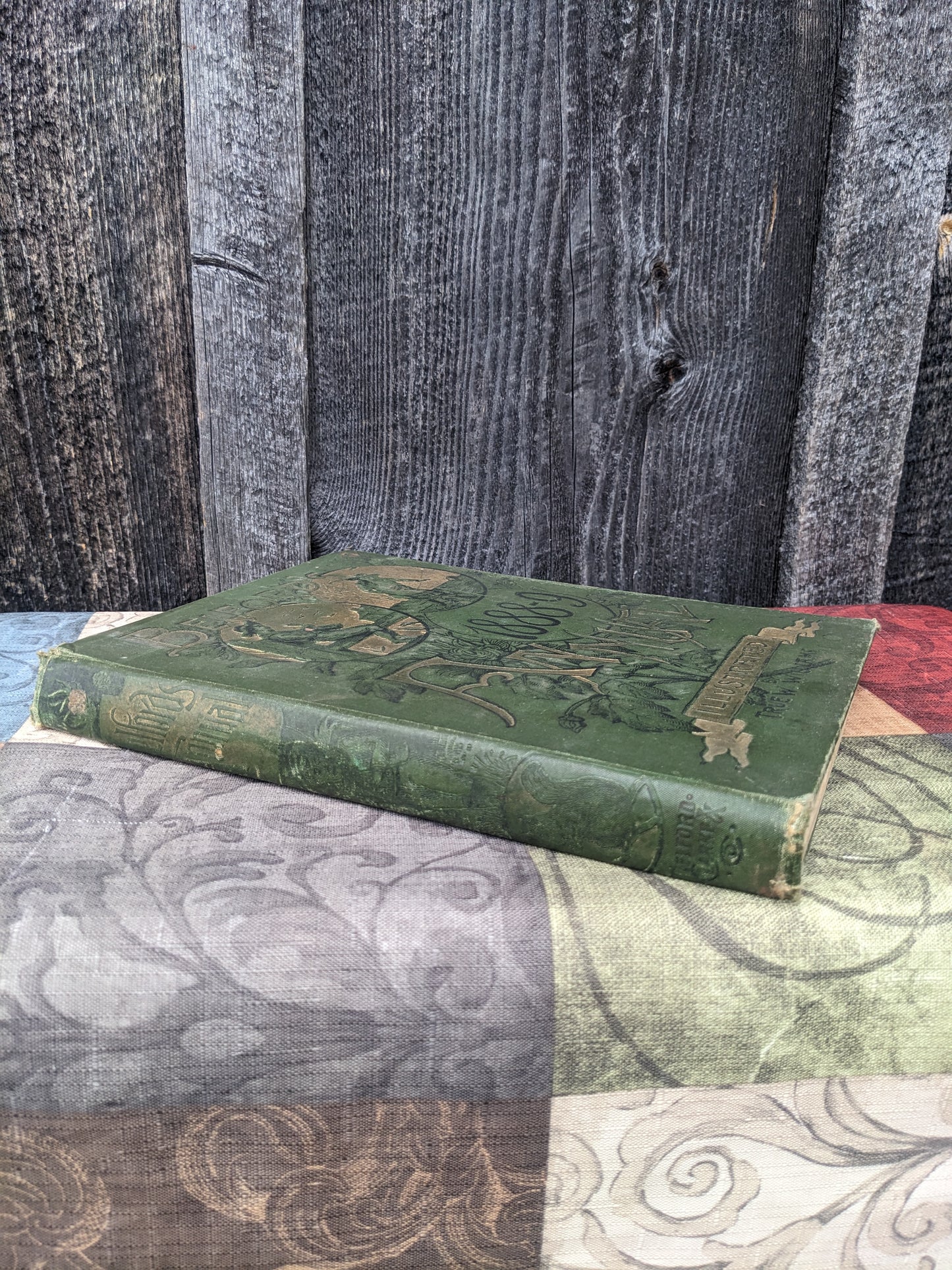 Belford's Annual 1888-1889, Illustrated, edited by Thomas W. Hanford. Short Stories, Poems and More
