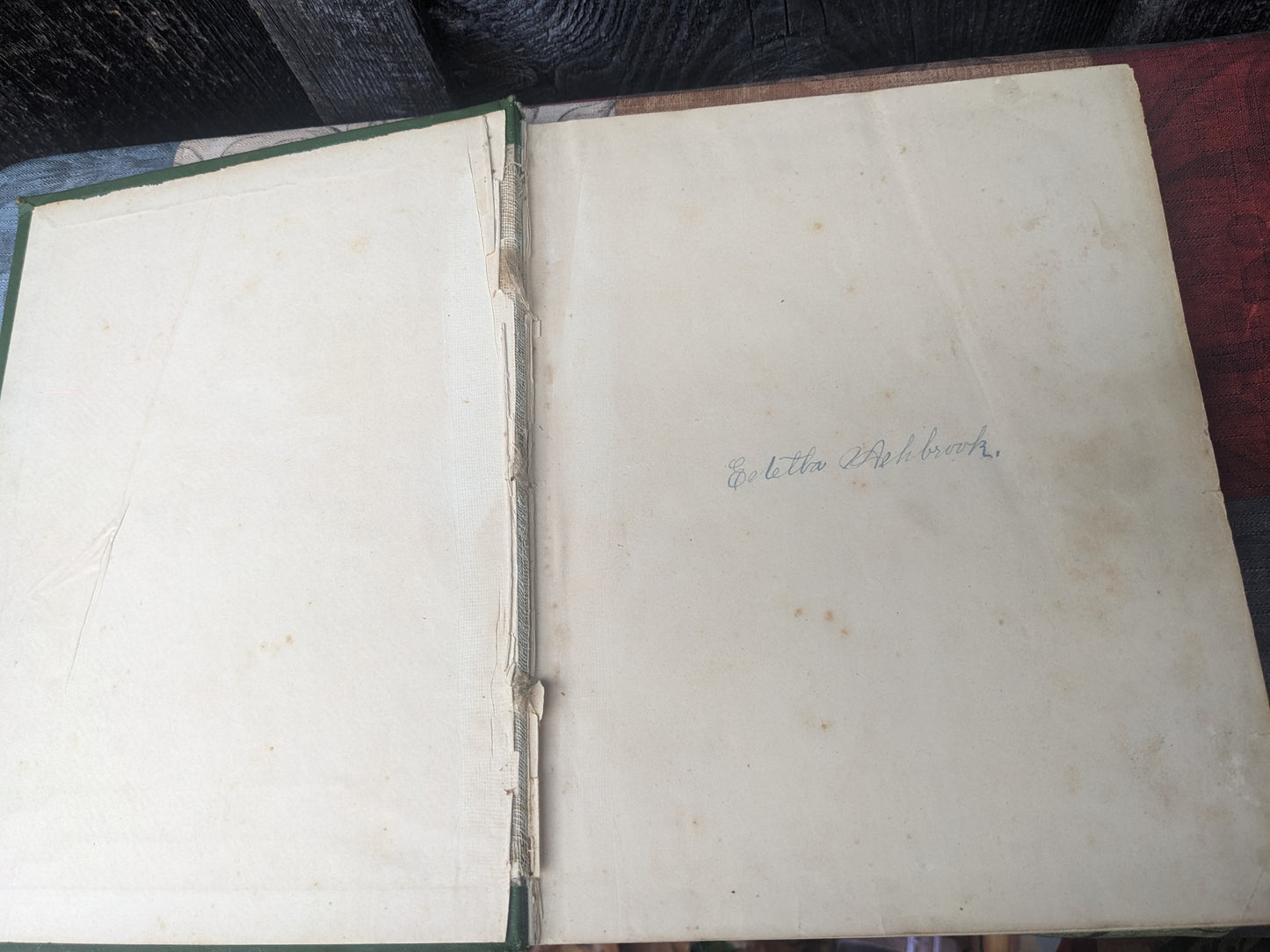 Belford's Annual 1888-1889, Illustrated, edited by Thomas W. Hanford. Short Stories, Poems and More