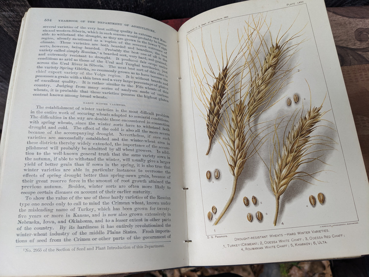 United States Department of Agriculture, Yearbook of Agriculture 1900
