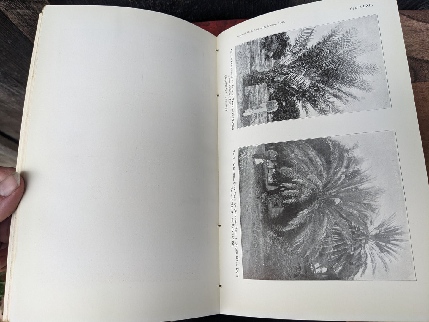 United States Department of Agriculture, Yearbook of Agriculture 1900