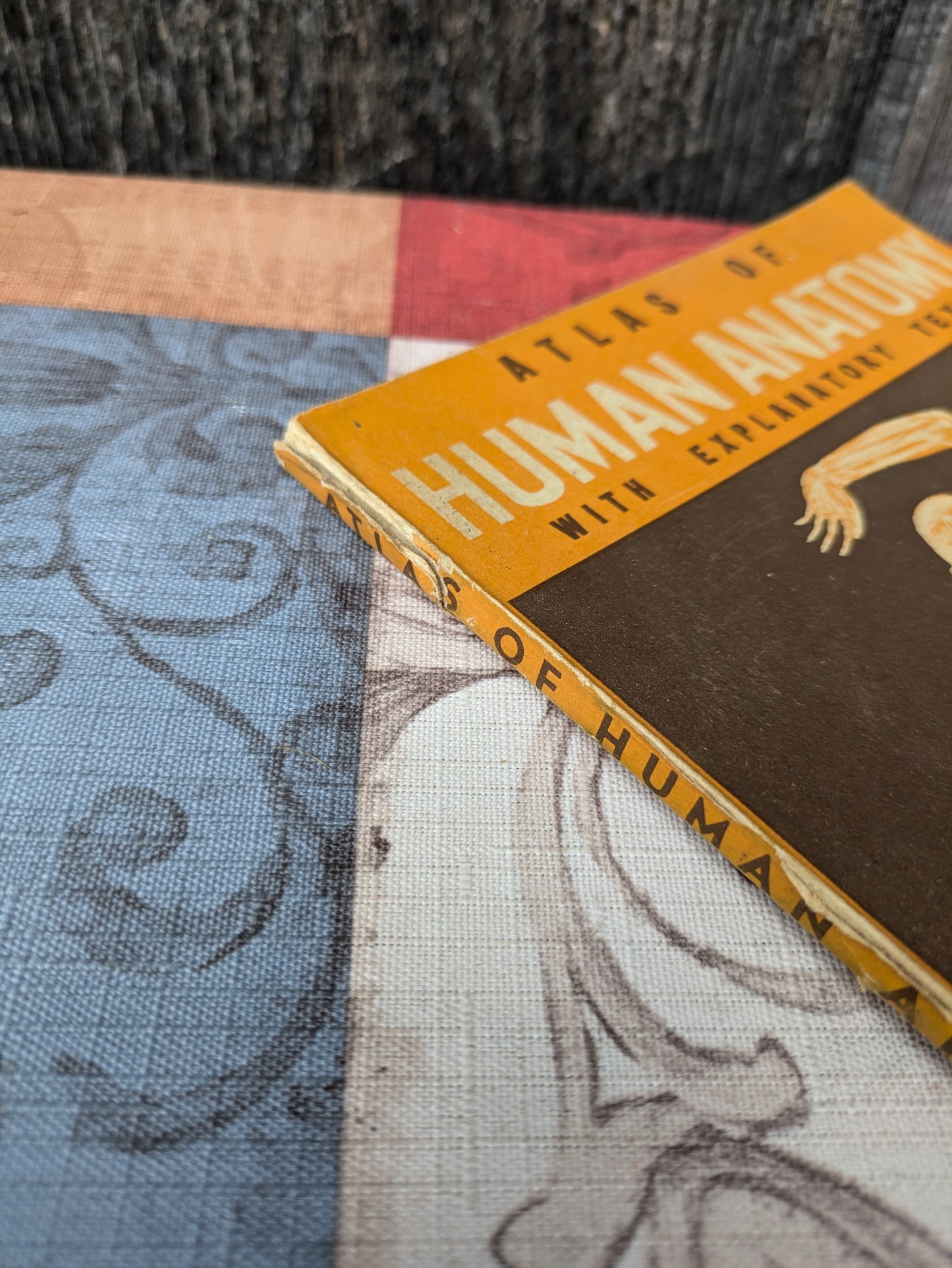 Vintage 1942 Atlas of Human Anatomy with Explanatory Text, New Edition by Williams et al