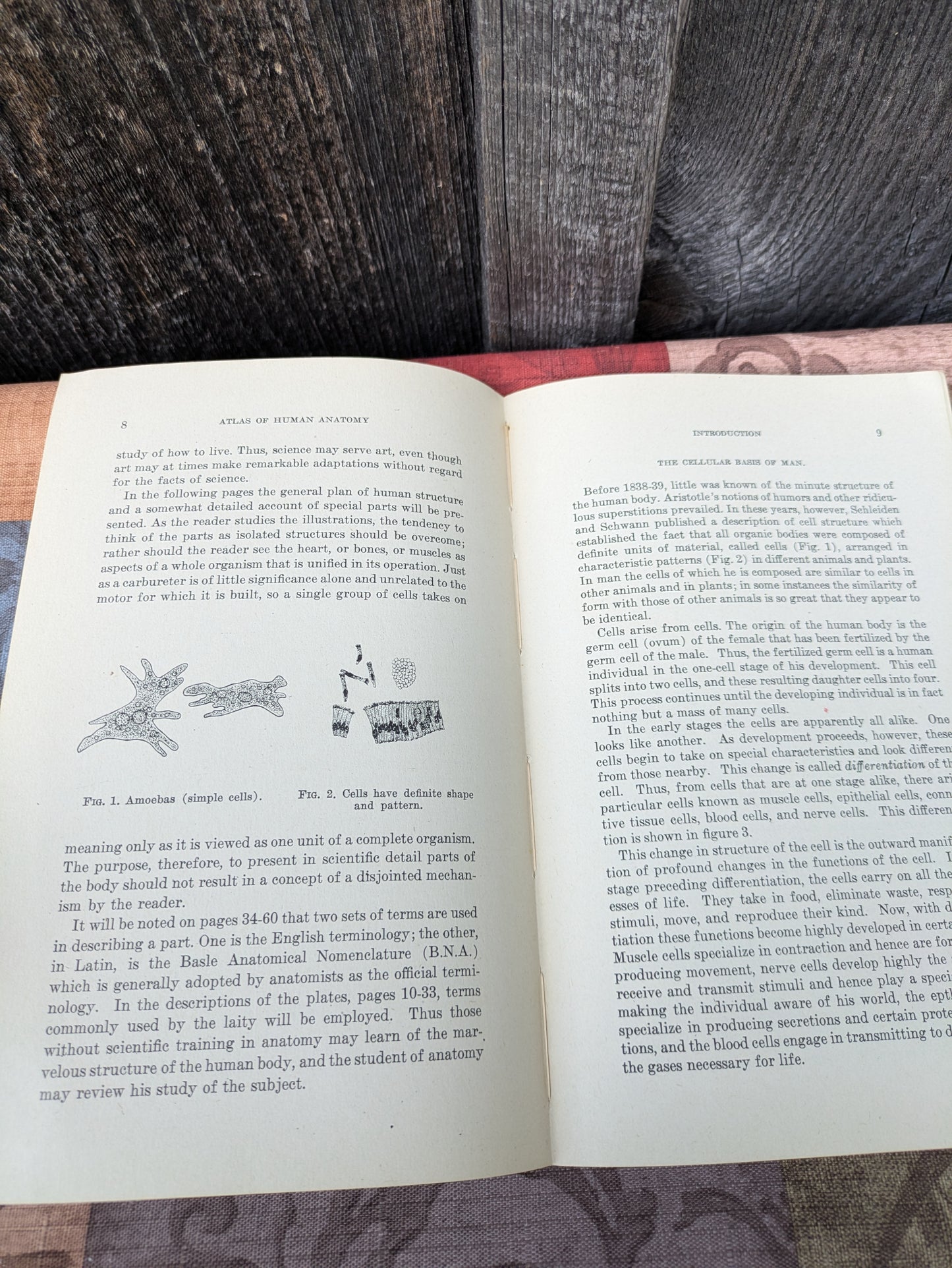 Vintage 1942 Atlas of Human Anatomy with Explanatory Text, New Edition by Williams et al