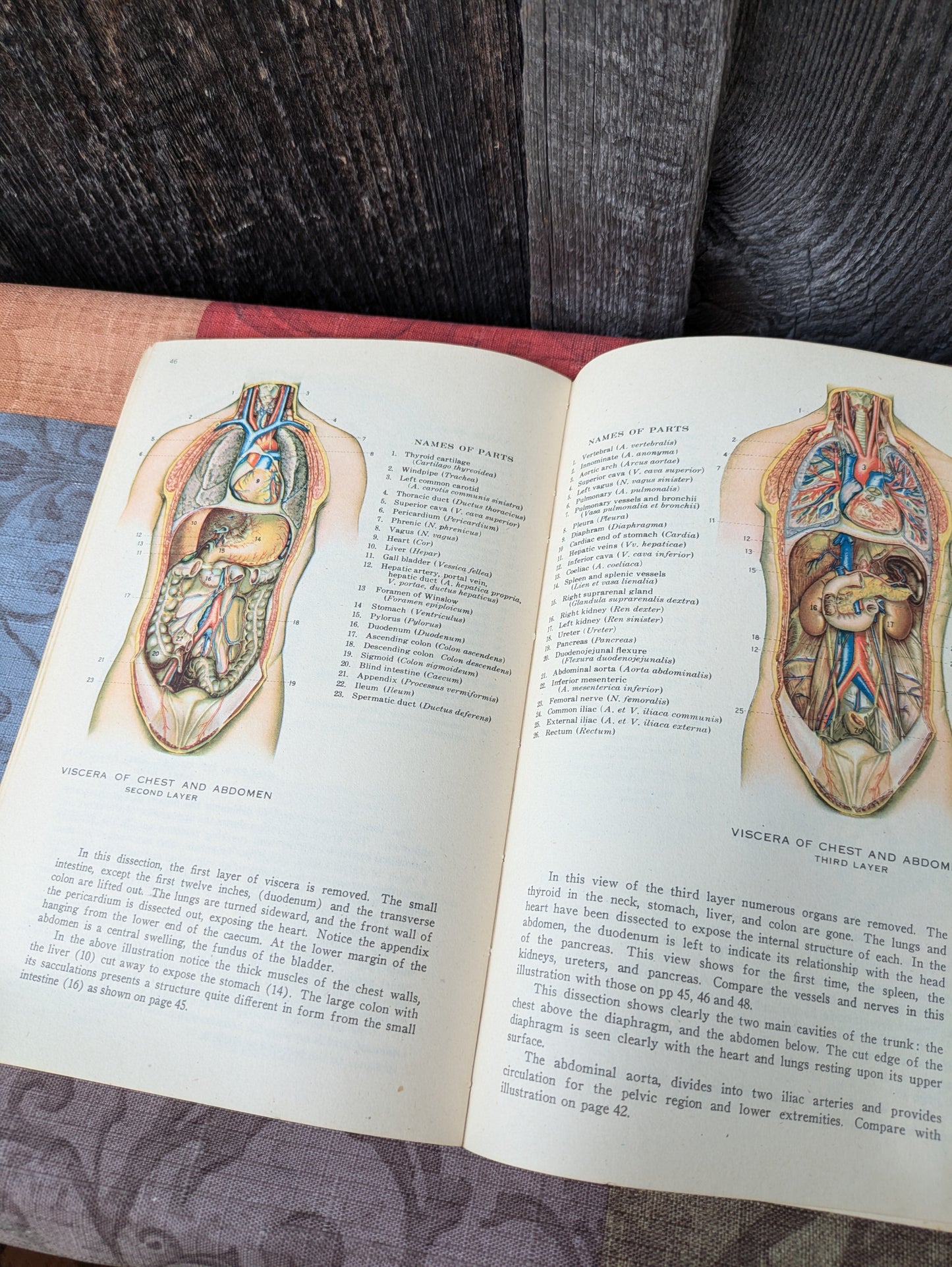Vintage 1942 Atlas of Human Anatomy with Explanatory Text, New Edition by Williams et al
