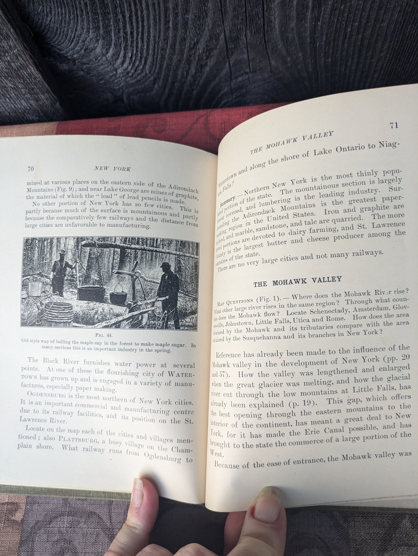 Antique 1901 Tarr & McMurray's Geographies, New York Supplementary Volume.