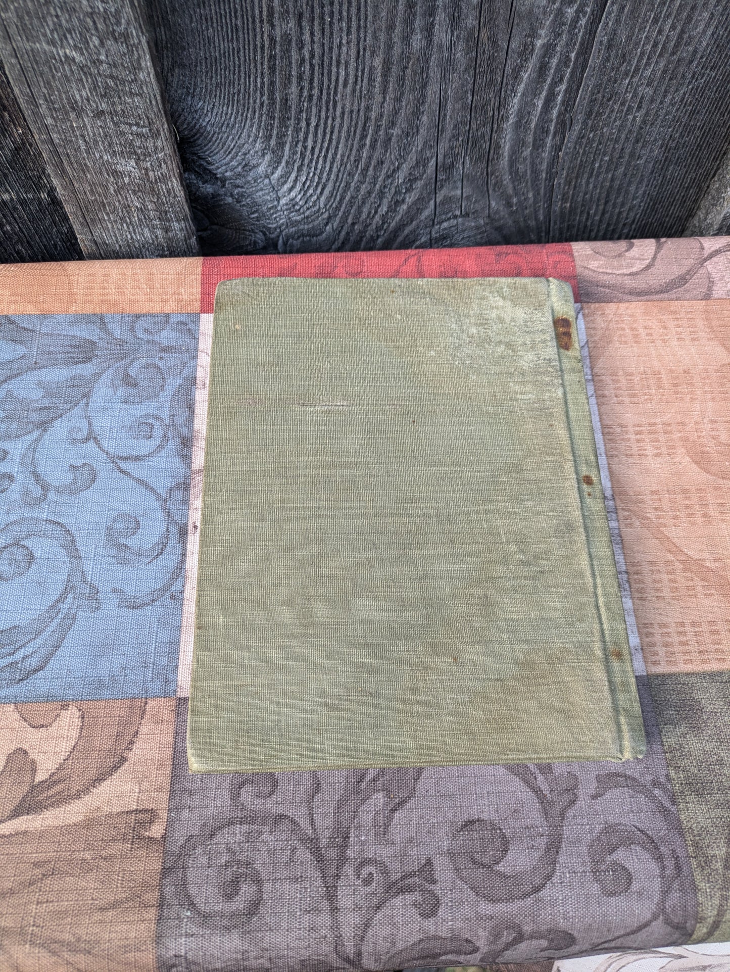 Antique 1901 Tarr & McMurray's Geographies, New York Supplementary Volume.