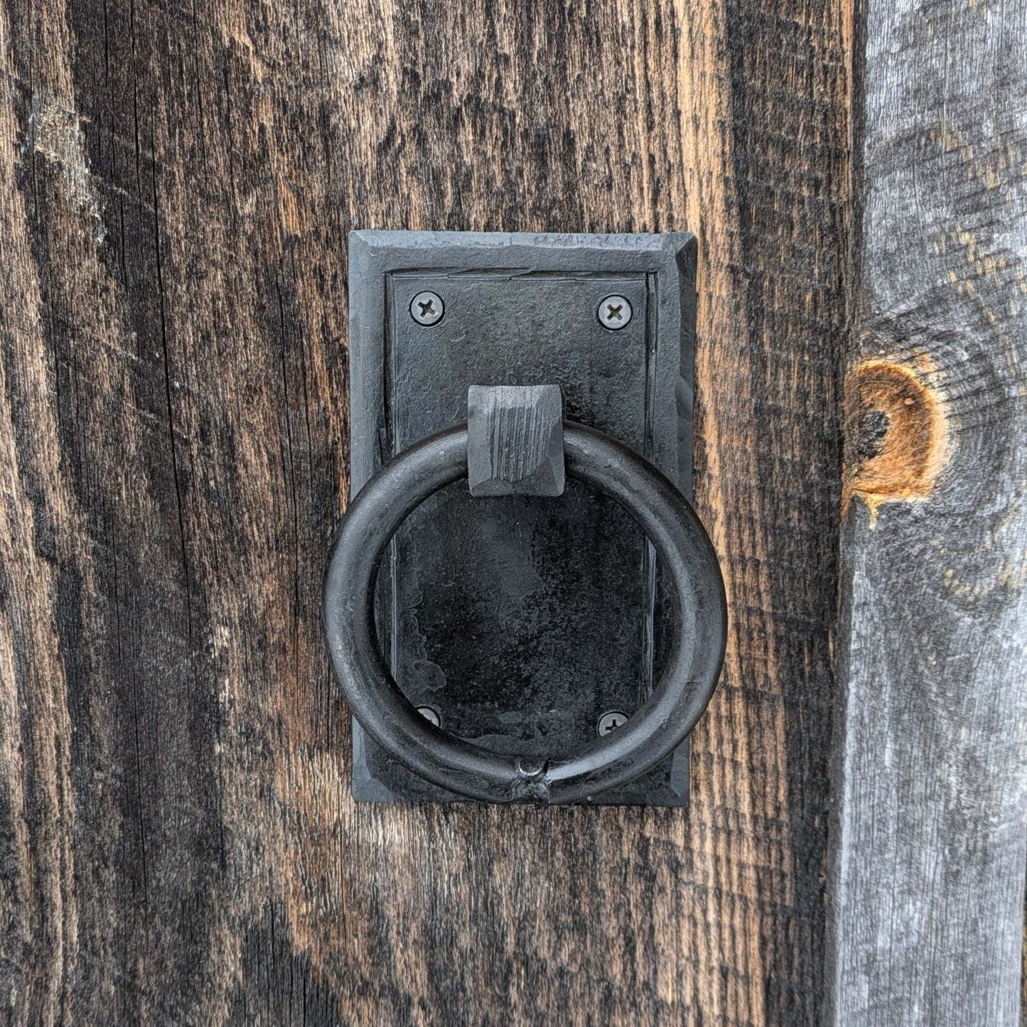 Single Ring Handle on Backplate