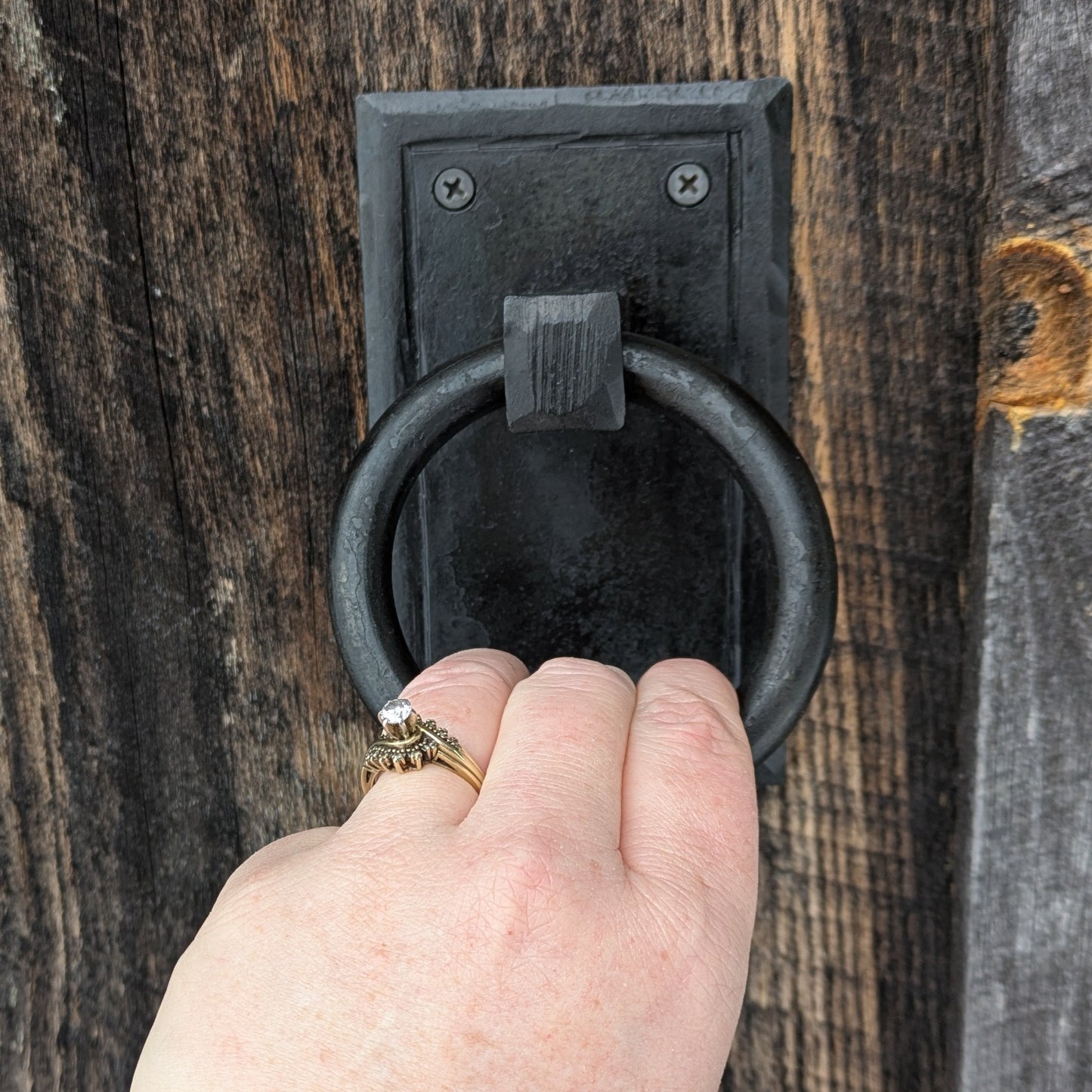 Single Ring Handle on Backplate