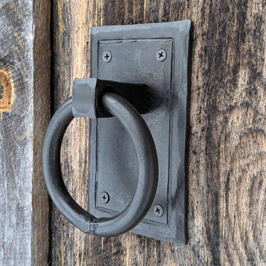 Single Ring Handle on Backplate
