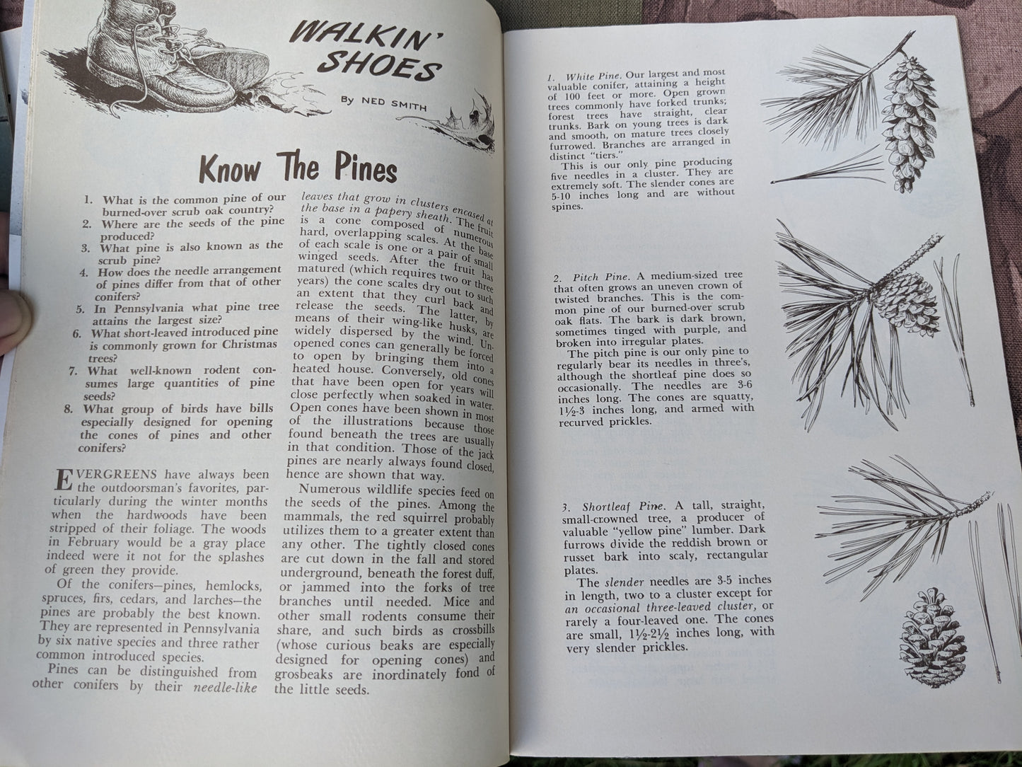 Set of 10 Vintage 1959 Game News Magazines