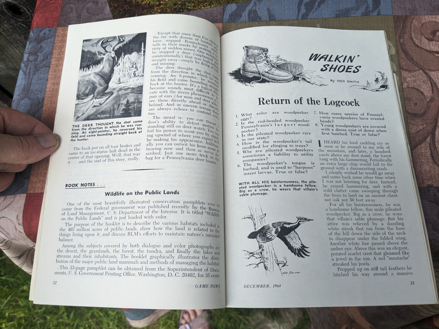 Set of 11 Vintage 1964 Pennsylvania Game News Magazines