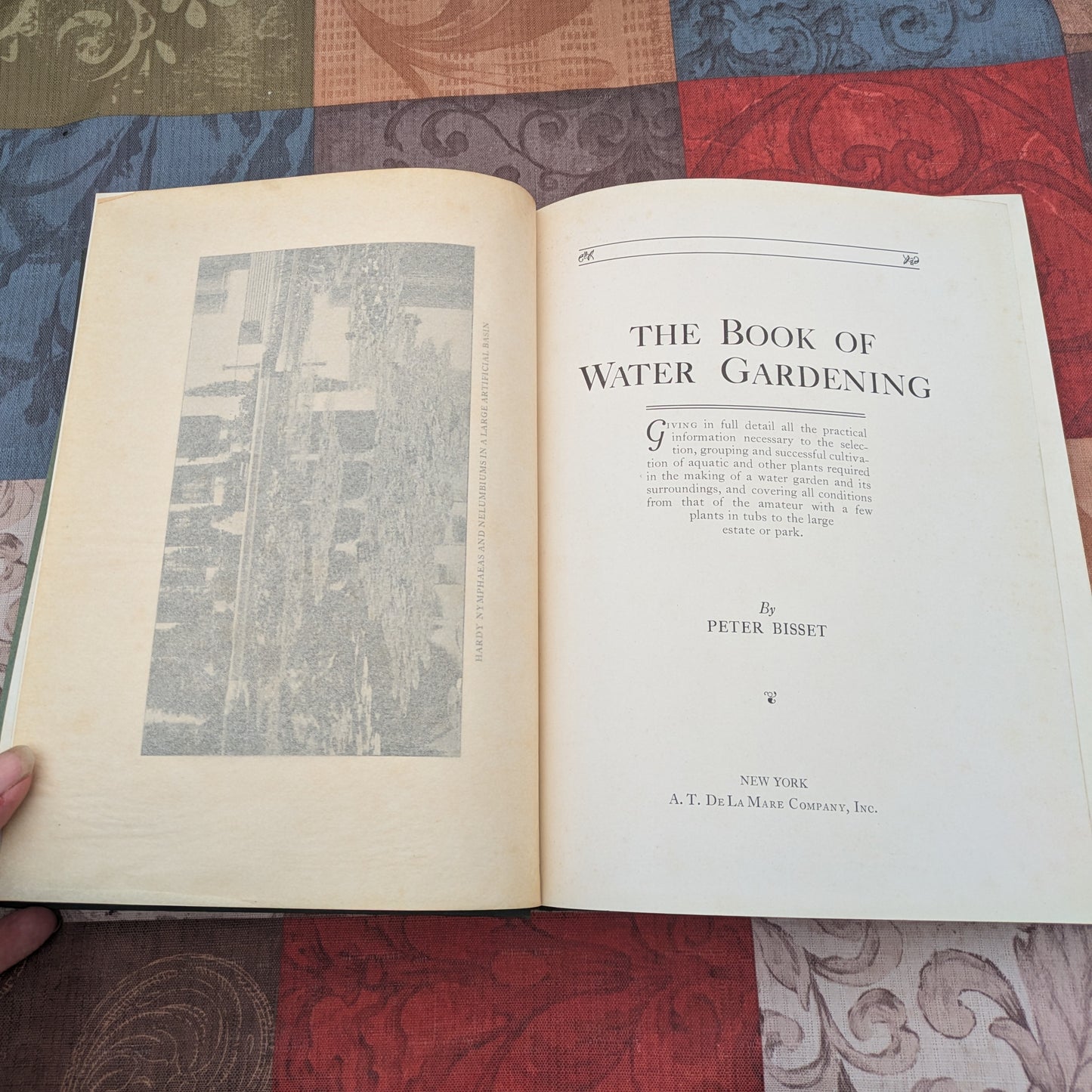 The Book of Water Gardening, Antique 1924 edition by Peter Bisset