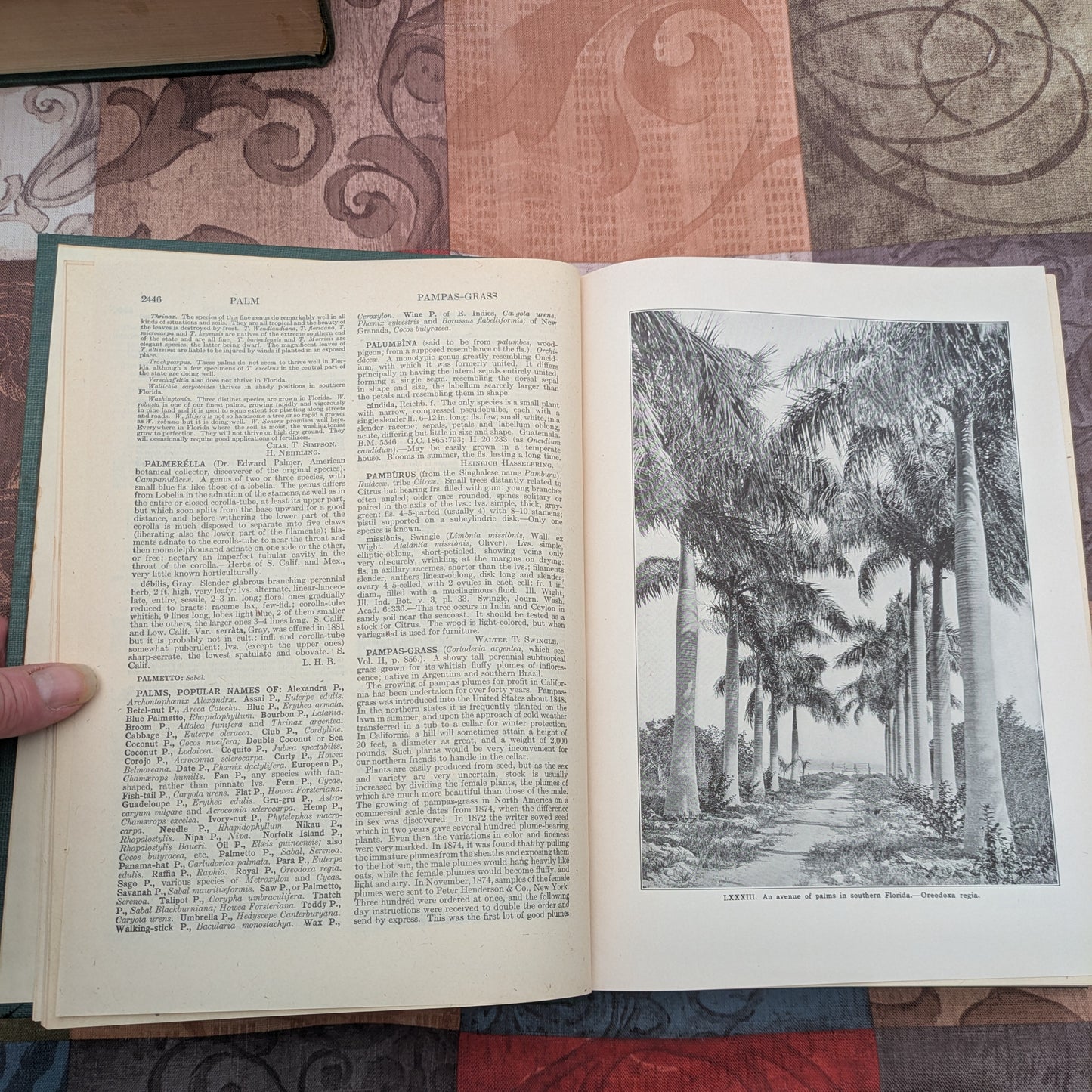 The Standard Cyclopedia of Horticulture by L.H. Bailey, 1947 edition in 3 Volumes