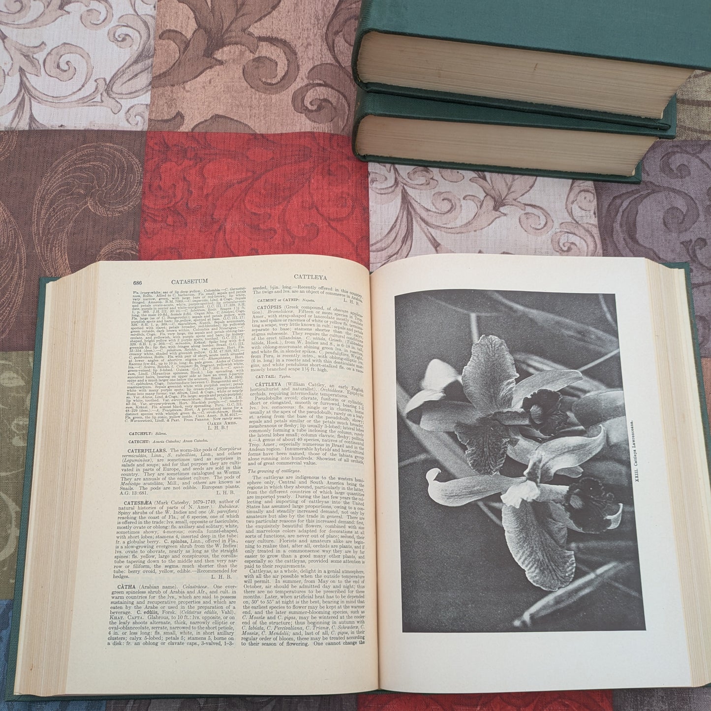 The Standard Cyclopedia of Horticulture by L.H. Bailey, 1947 edition in 3 Volumes