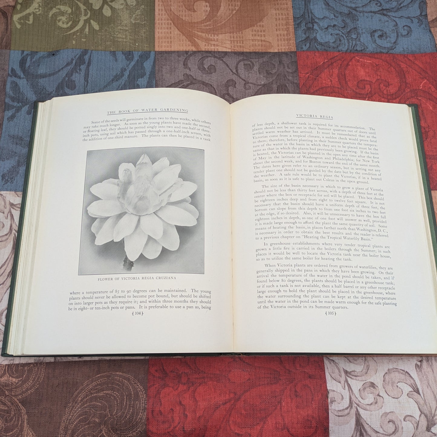 The Book of Water Gardening, Antique 1924 edition by Peter Bisset
