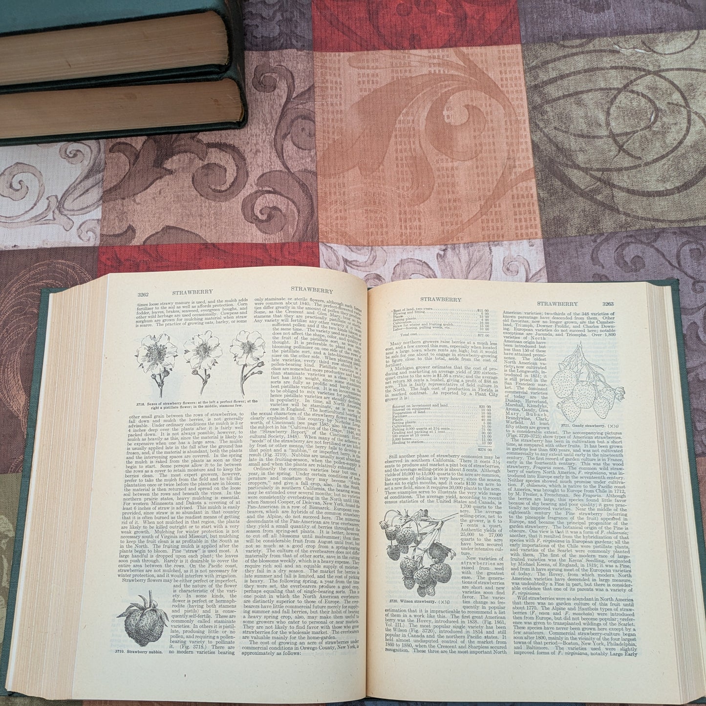 The Standard Cyclopedia of Horticulture by L.H. Bailey, 1947 edition in 3 Volumes