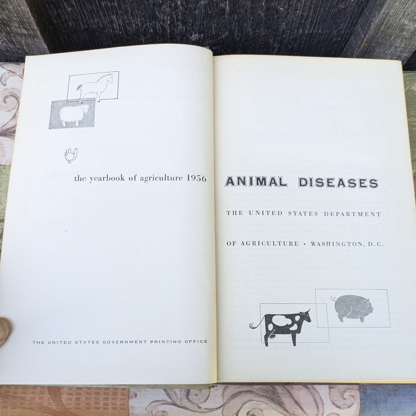 Vintage USDA Yearbook of Agriculture 1956 Animal Diseases