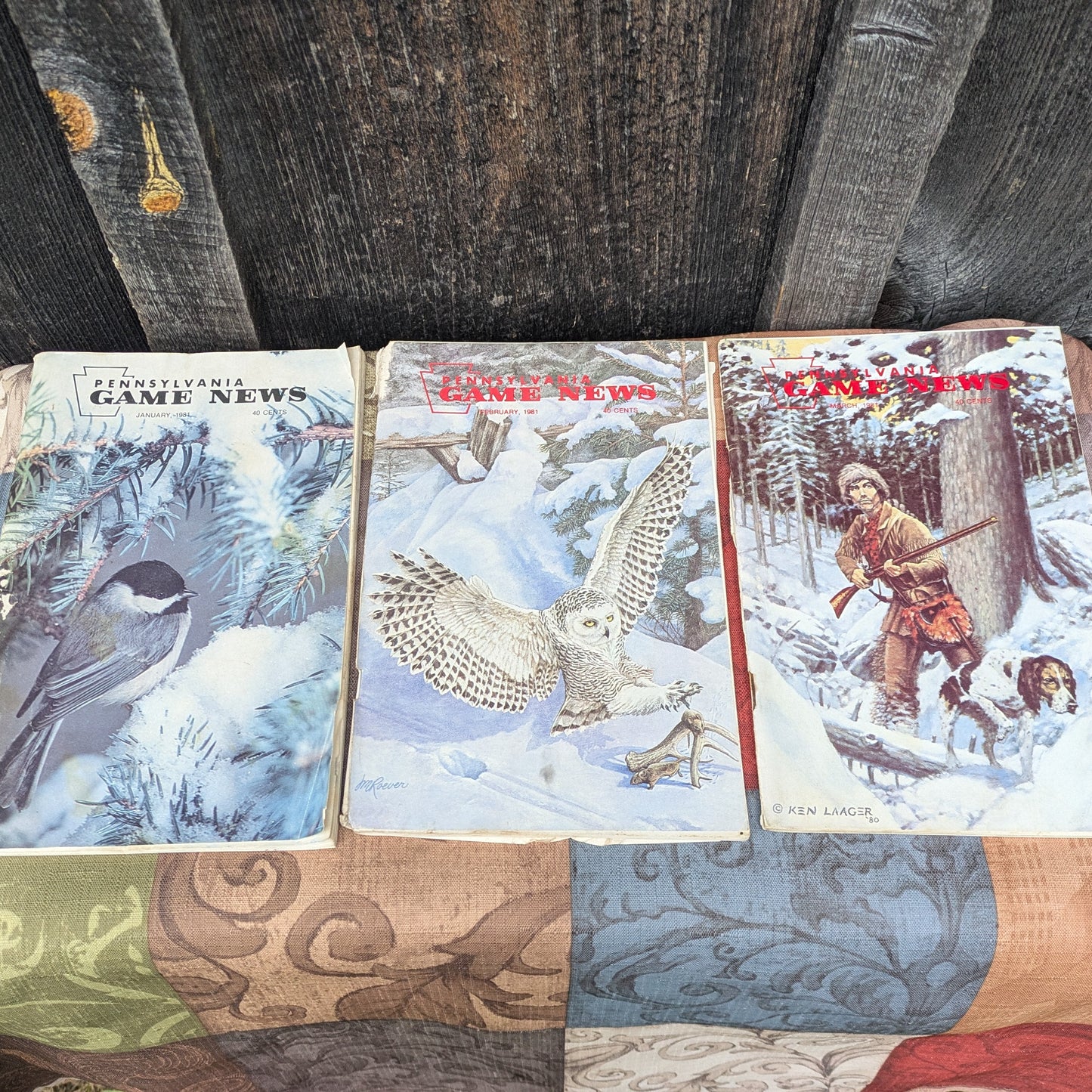 Vintage 1981 Pennsylvania Game News Magazines, Full Year Set of 12