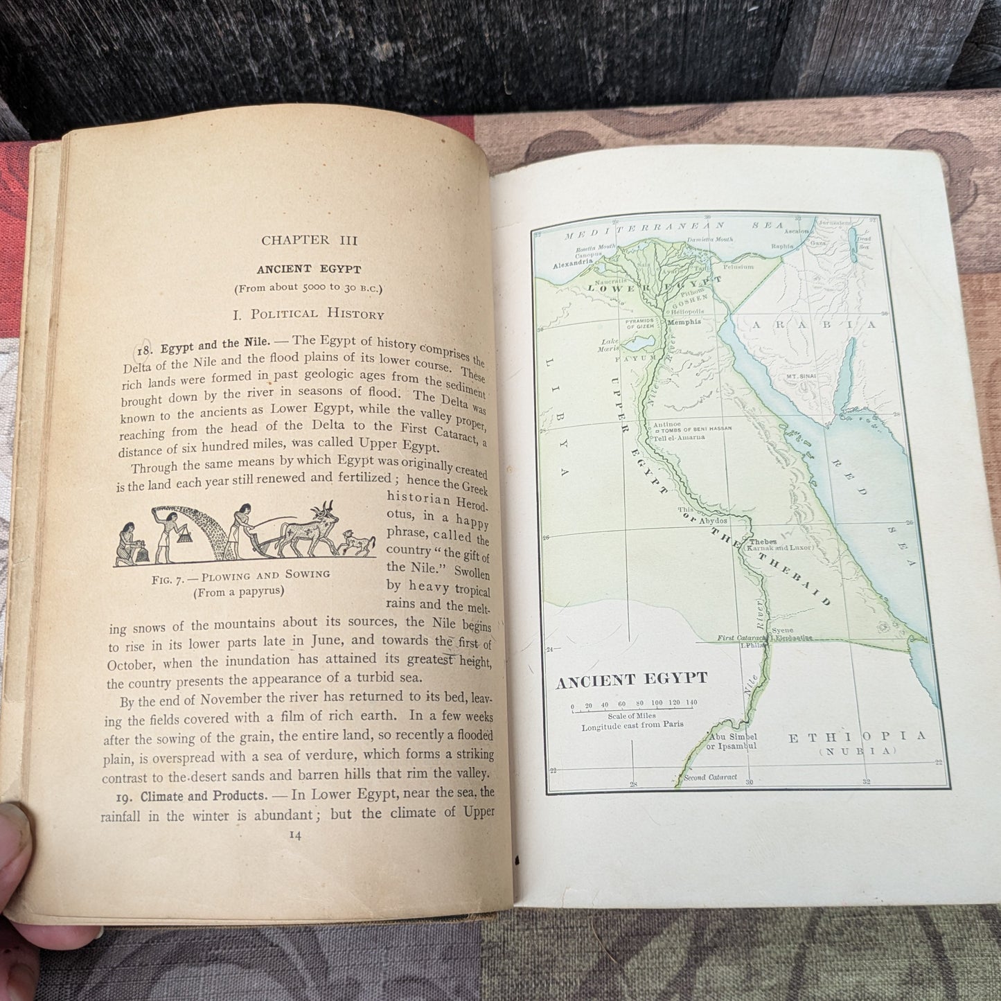 A Short History of Ancient Times for Colleges and High Schools, 1906 History of Ancient Egypt, Rome and Greece