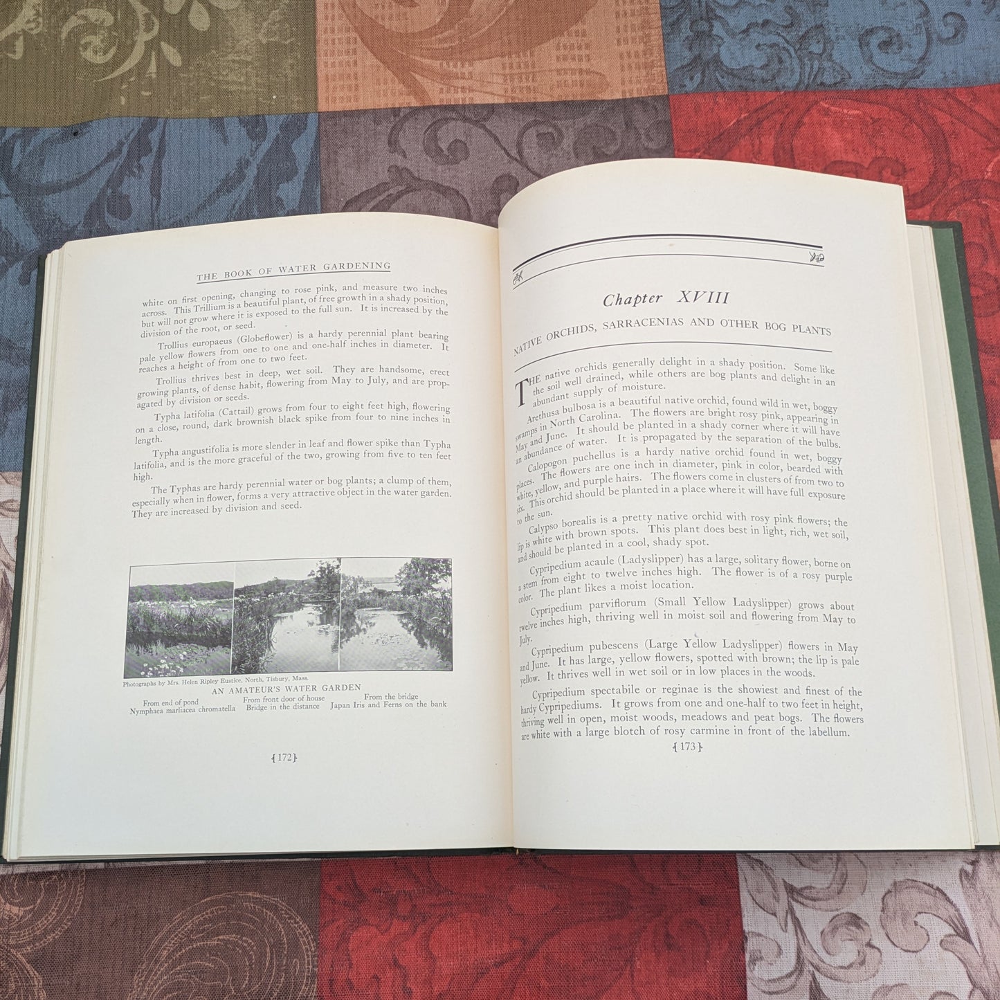 The Book of Water Gardening, Antique 1924 edition by Peter Bisset