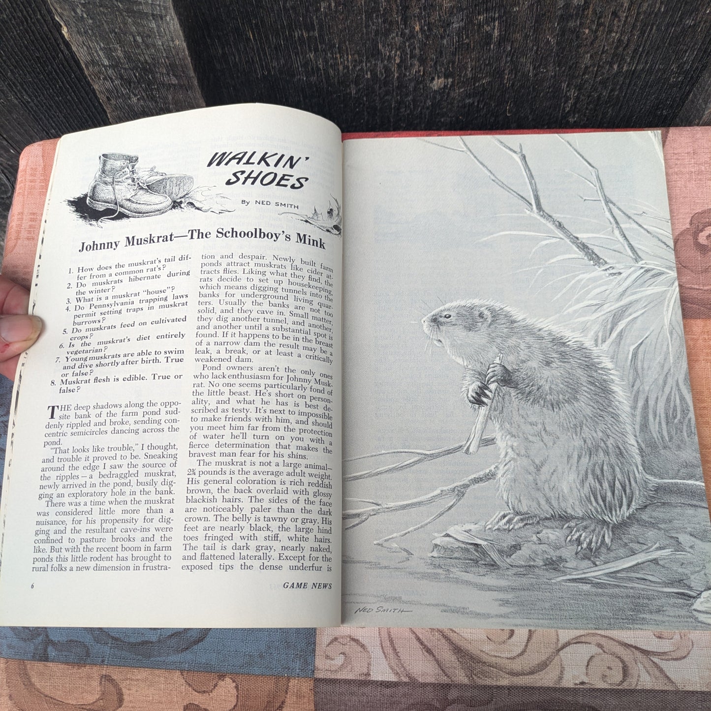 Vintage 1962 and 1963 Pennsylvania Game News Magazines, Set of 13