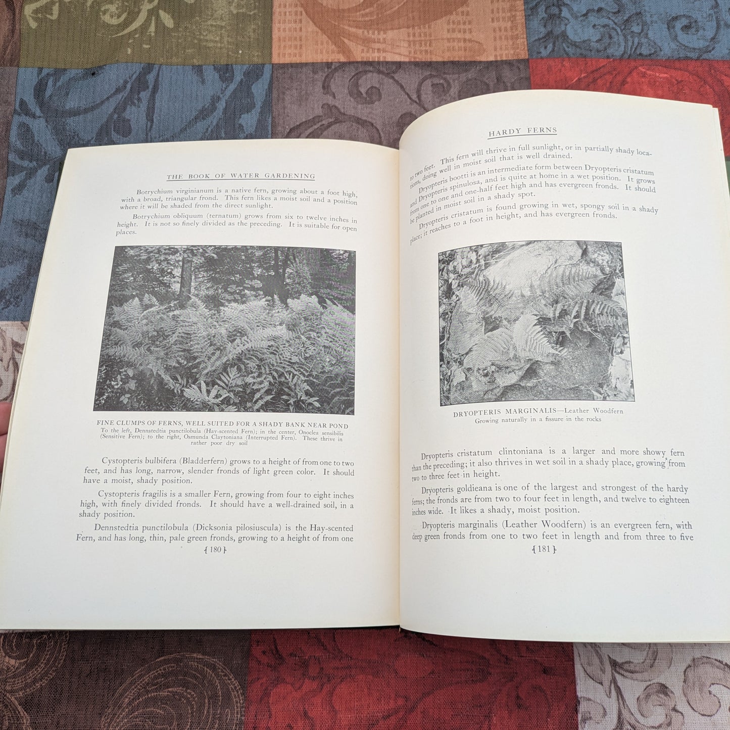 The Book of Water Gardening, Antique 1924 edition by Peter Bisset