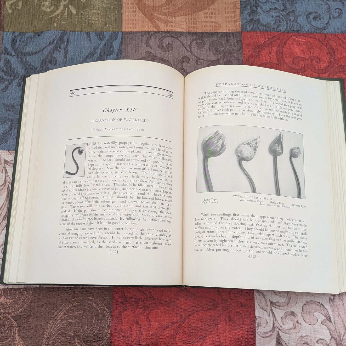 The Book of Water Gardening, Antique 1924 edition by Peter Bisset