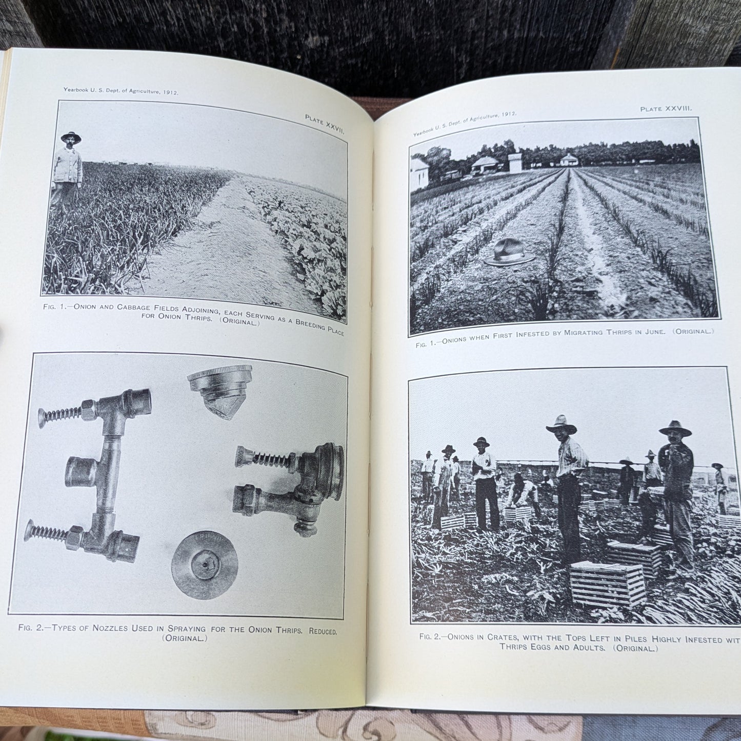 1912 Yearbook of the Department of Agriculture