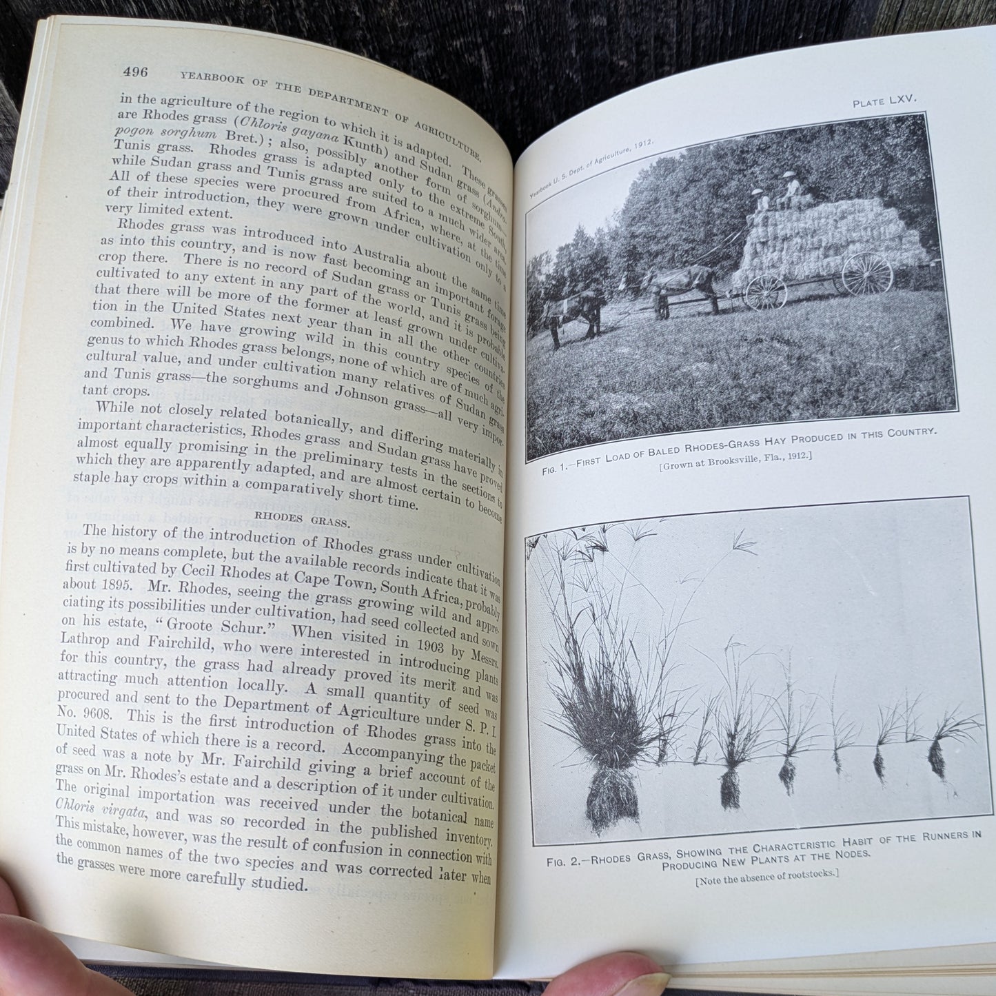 1912 Yearbook of the Department of Agriculture