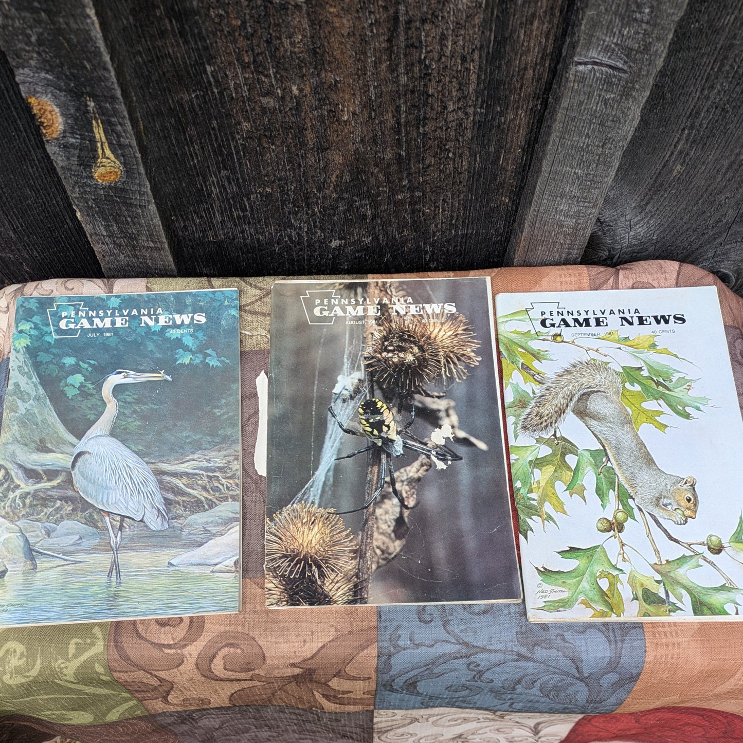 Vintage 1981 Pennsylvania Game News Magazines, Full Year Set of 12