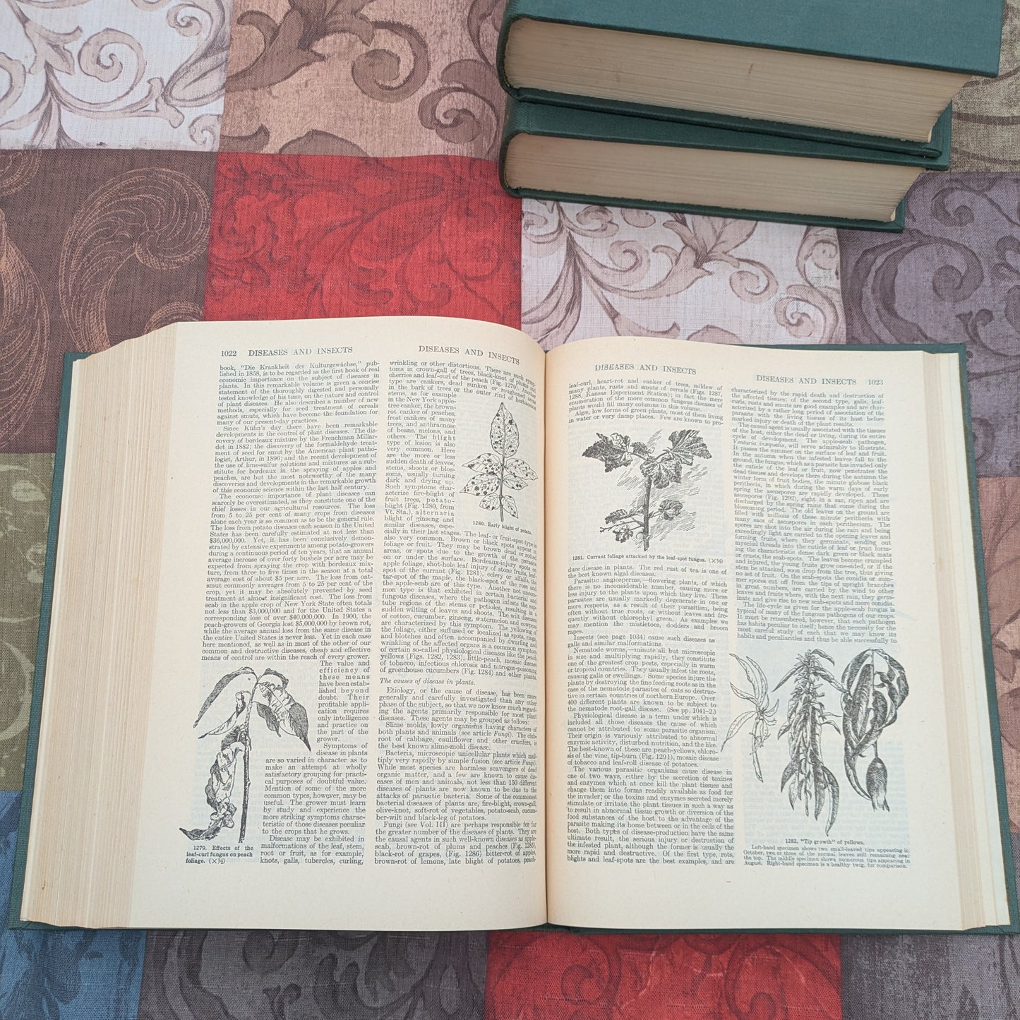 The Standard Cyclopedia of Horticulture by L.H. Bailey, 1947 edition in 3 Volumes