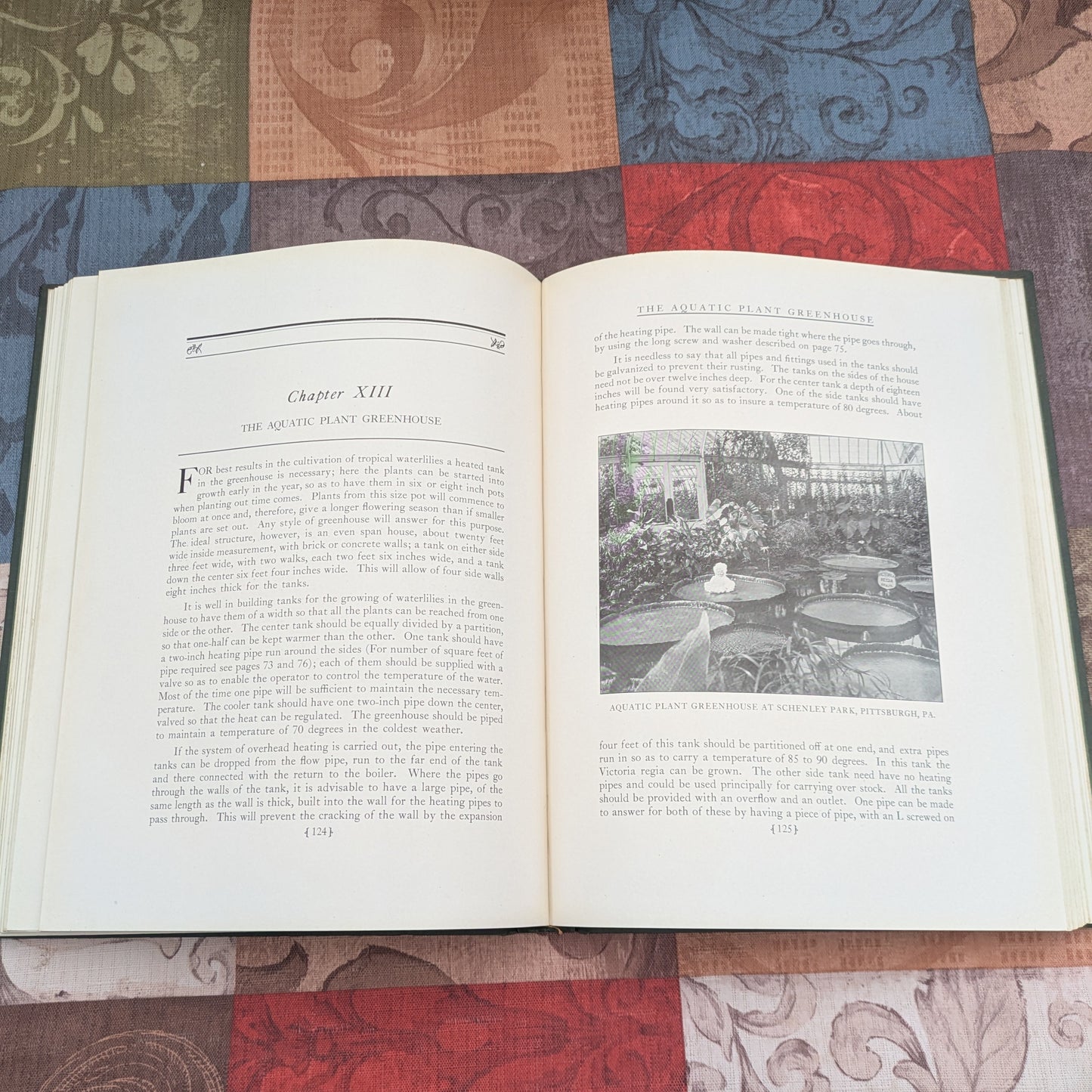 The Book of Water Gardening, Antique 1924 edition by Peter Bisset