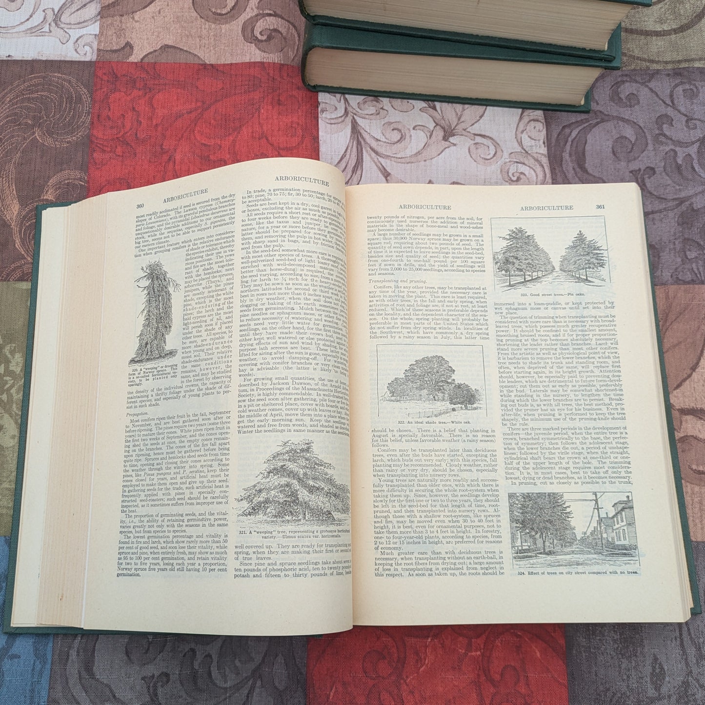The Standard Cyclopedia of Horticulture by L.H. Bailey, 1947 edition in 3 Volumes