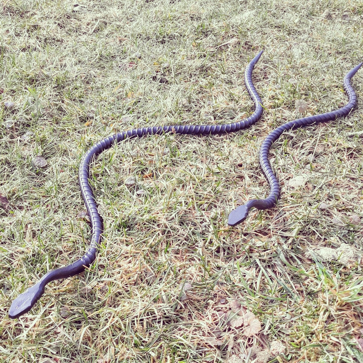 Sneaky Snake Hand Forged Garden Ornament-great for scaring birds away from your garden!