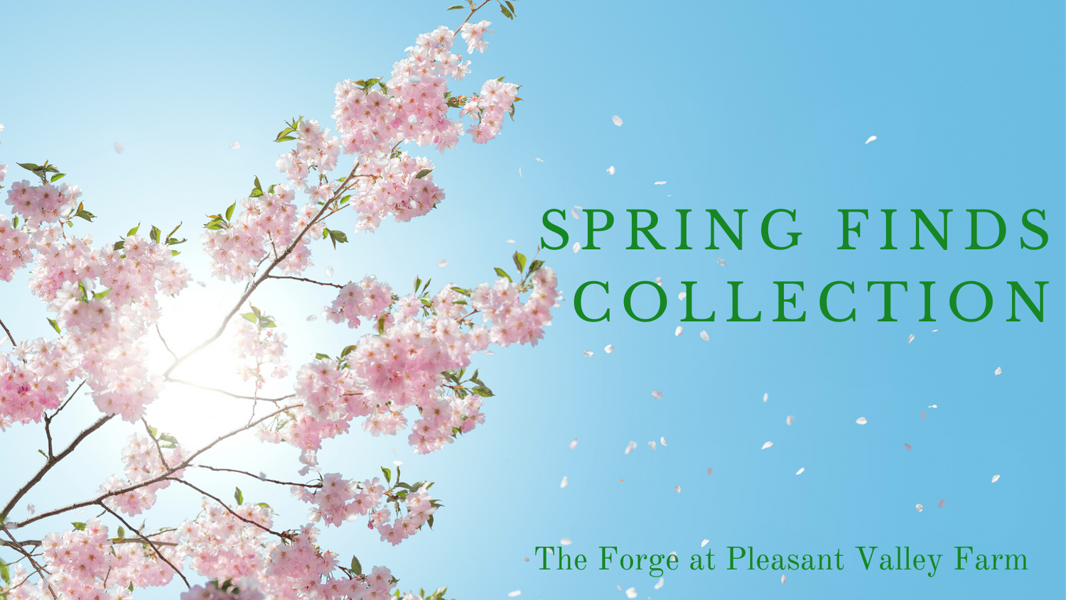 Spring Finds