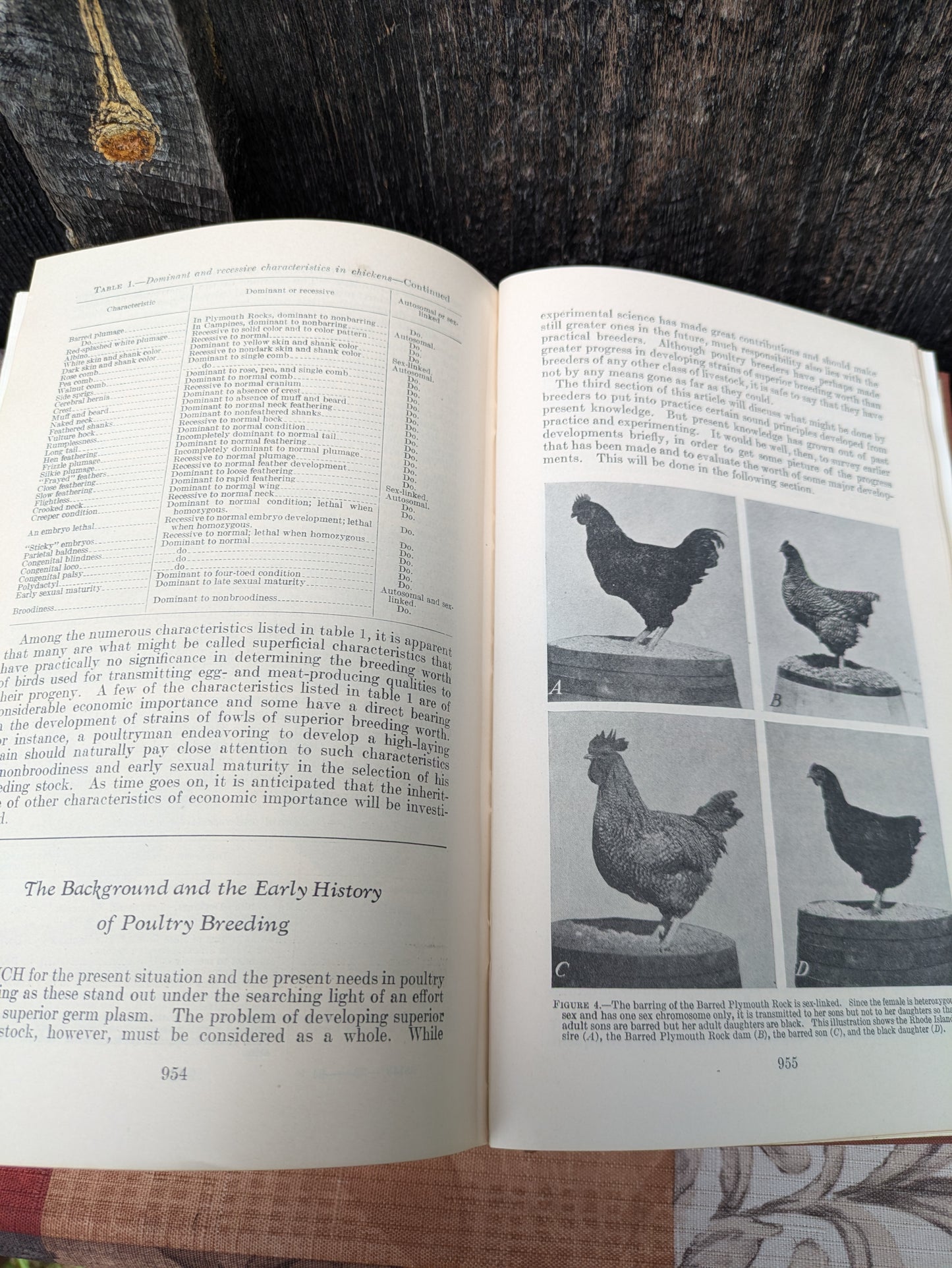 Vintage US Department of Agriculture Yearbook for 1936