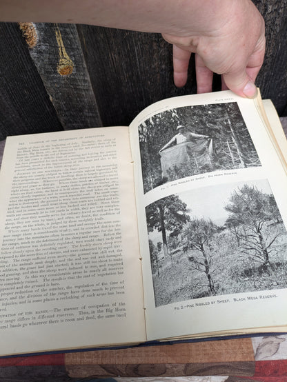 Antique 1901 Yearbook of Agriculture United States Department of Agriculture