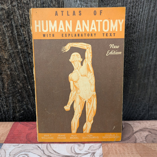 Vintage 1942 Atlas of Human Anatomy with Explanatory Text, New Edition by Williams et al