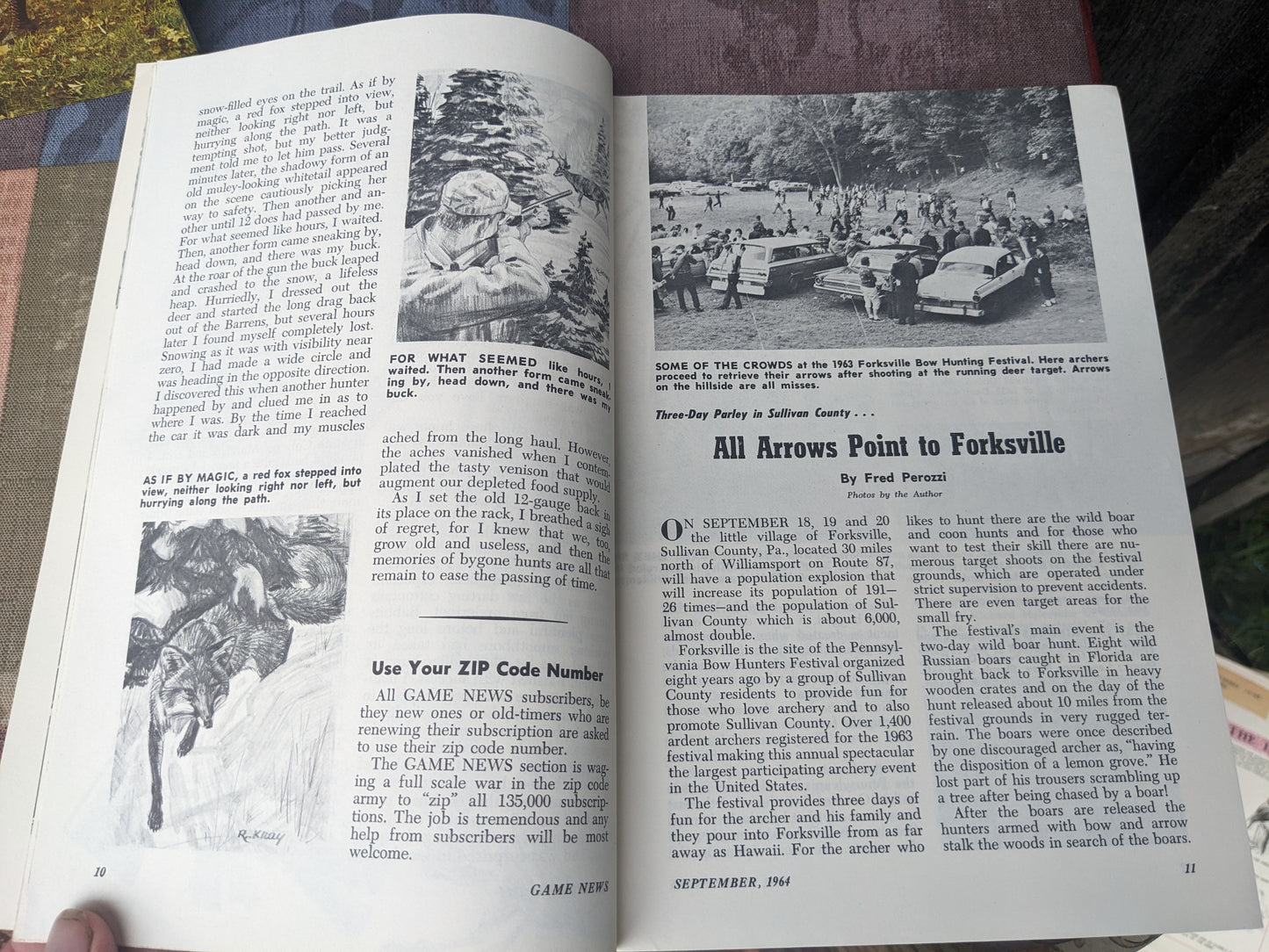 Set of 11 Vintage 1964 Pennsylvania Game News Magazines