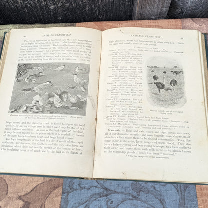 Set of 3 Antique Biology and Physiology Textbooks
