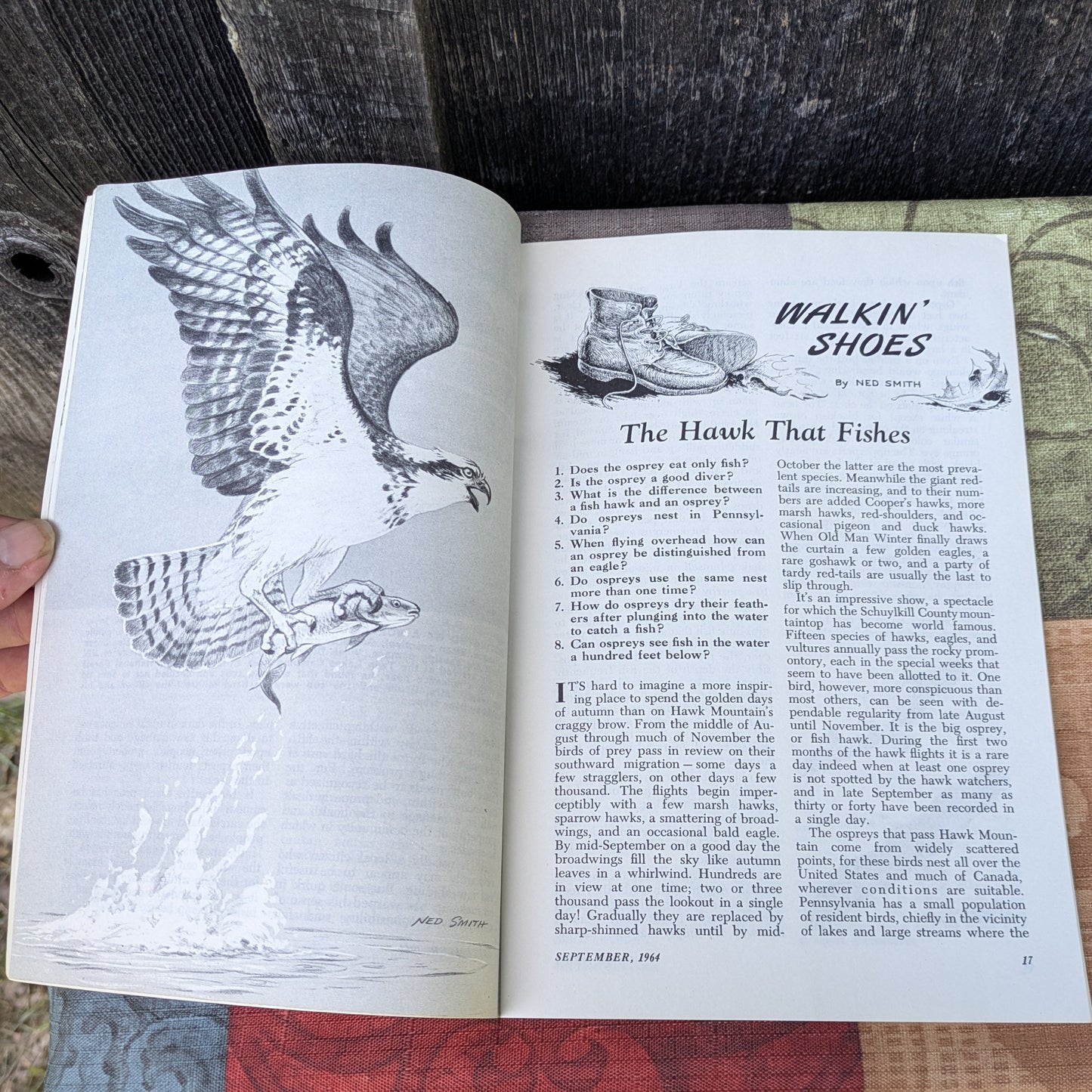 Set of 6 Vintage Game News Magazines by the PA Game Commission