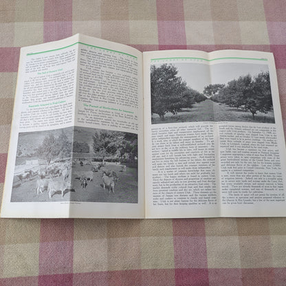 1910s Denver and Rio Grande Railroad Time Tables. December 1910 & Lands of Utah