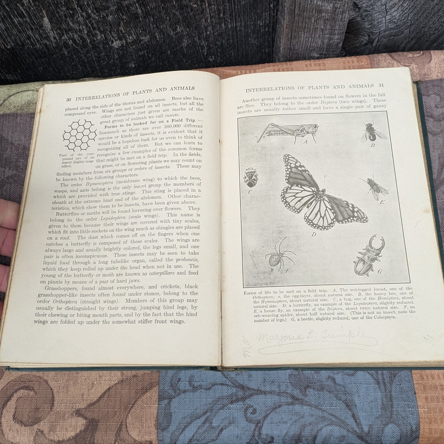 Set of 3 Antique Biology and Physiology Textbooks