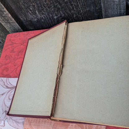 Kirkes' Handbook of Physiology by W. D. Halluburton, 1902 edition