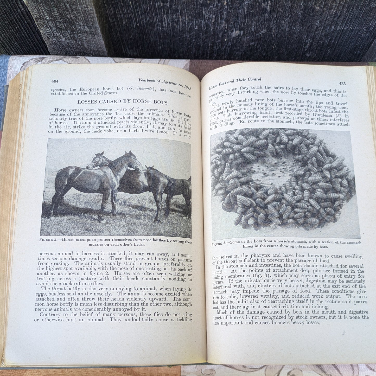 Vintage USDA Yearbook of Agriculture 1942 Keeping Livestock Healthy