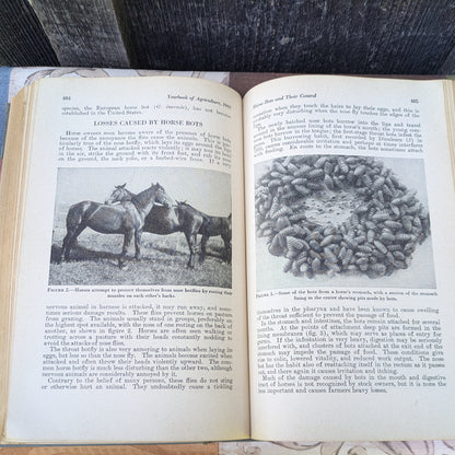Vintage USDA Yearbook of Agriculture 1942 Keeping Livestock Healthy