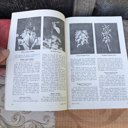 Set of 9 Vintage 1970 Game News Magazines
