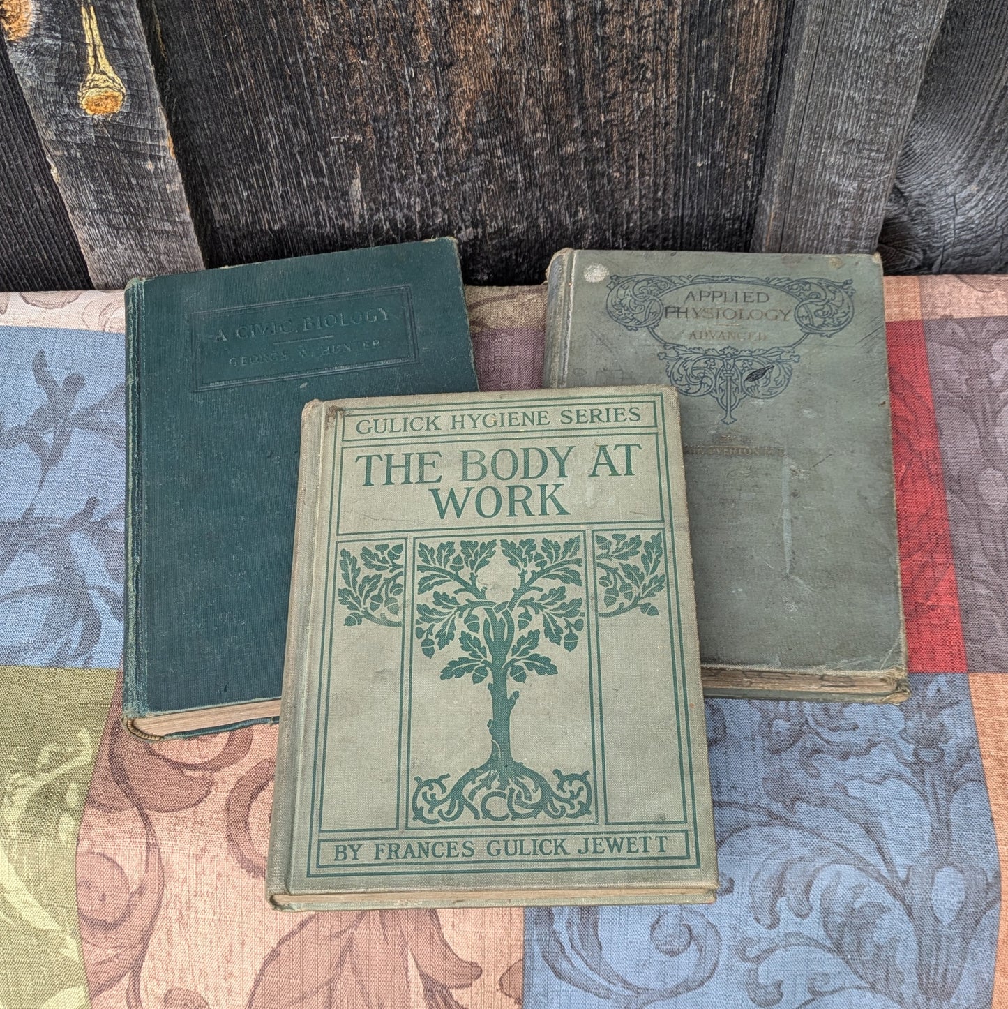 Set of 3 Antique Biology and Physiology Textbooks