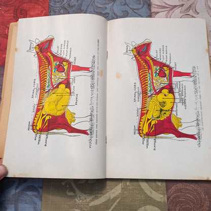 Vintage Hoard's Dairyman Herd Health Guides