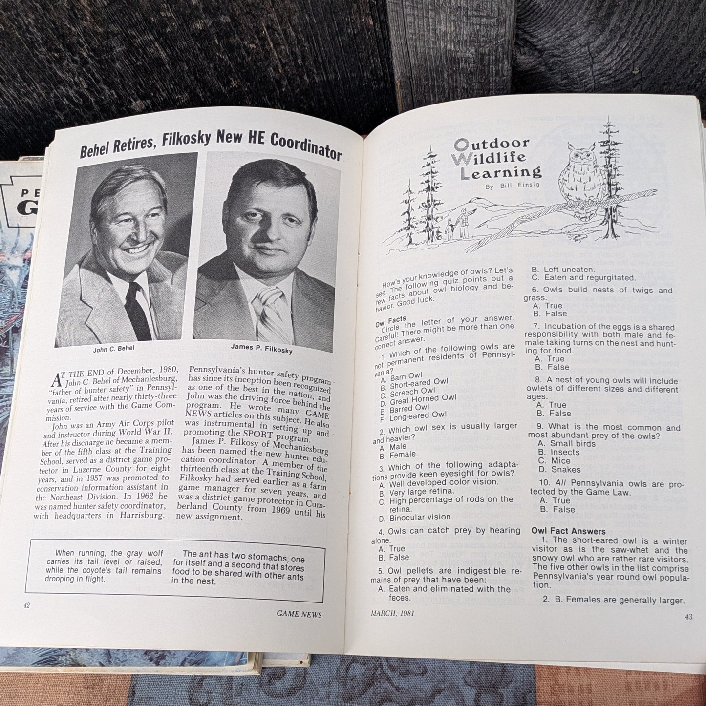 Vintage 1981 Pennsylvania Game News Magazines, Full Year Set of 12